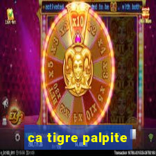 ca tigre palpite